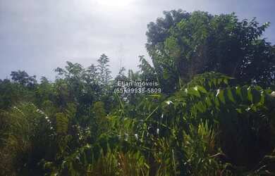 Imagem: O terreno possui 27m² de Área e está localizado em Santo