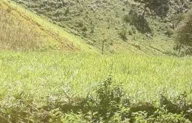 Imagem: A chácara possui 72.000m² de Área e está localizado em