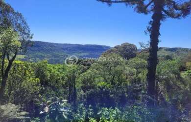 Imagem 2: AREA DE TERRAS COM VISTA DA MONTANHA