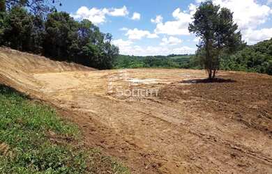 Imagem 7: Chácara para Venda em Almirante Tamandaré, Pacotuba