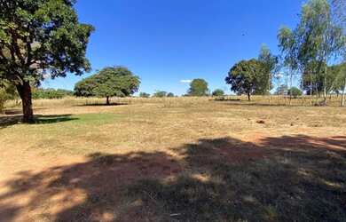 Imagem 16: FAZENDA À VENDA - 217 ALQUEIRES MUNDO NOVO - Goias