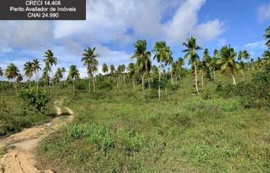 Imagem 14: Fazenda à Venda no Litoral Norte da Bahia. Fazenda de Pasto e Coco no...