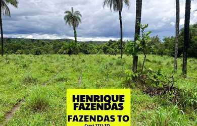 Imagem 7: Fazenda no Luzimangues poucos minutos de Palmas 51 alqueires