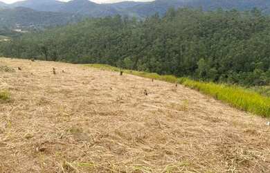 Imagem: O terreno possui 1.000m² de Área e está localizado em Centro