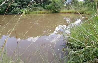 Imagem: A fazenda está localizado em Centro, Campo Grande à venda