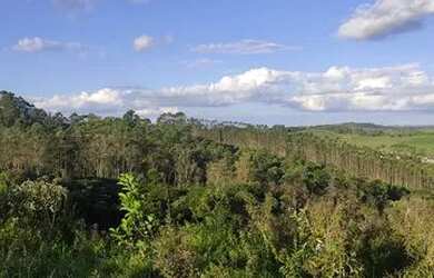 Imagem 2: Lote para venda possui 500 metros quadrados em Santa Isabel - SP