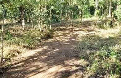 Imagem 7: Vendo Chacara 12 0000mt² na beira do rio Lajeado