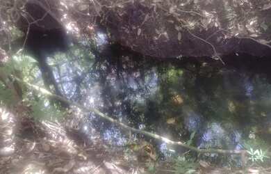 Imagem 4: Vendo fazenda. 