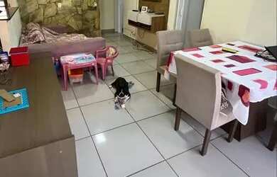 Imagem 3: Vendo casa jardim paiva. Varanda, 200m² de Área, 2 Vagas na garageme2...