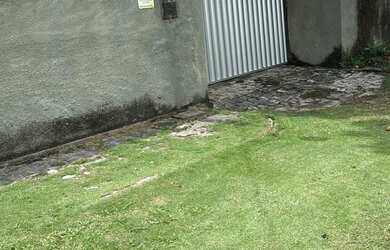 Imagem 4: Magnífica casa de Praia em Tamandaré