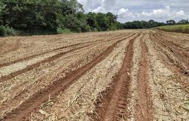 Imagem: A fazenda possui 247000m² de Área e está localizado em Centro