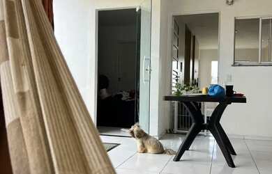 Imagem: A casa em condomínio possui 2 Dormitórios, 1 Banheiro, 1 Vaga