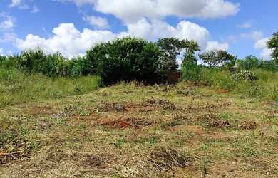 Imagem: Ponte Alta DF 475 Lote 400