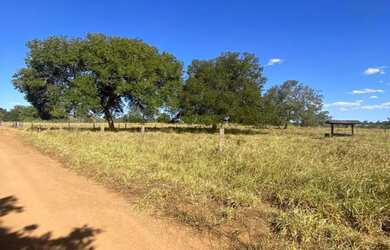 Imagem 8: FAZENDA À VENDA - 217 ALQUEIRES MUNDO NOVO - Goias