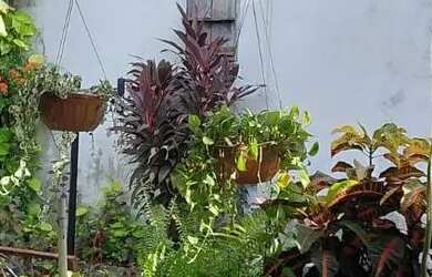 Imagem 3: Casa. Varanda, 2 Vagas na garageme3 Dormitórios