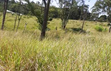 Imagem 4: Terreno 1.837,72m² - Bairro Boa Vista - com vista da Fernão Dias e de...