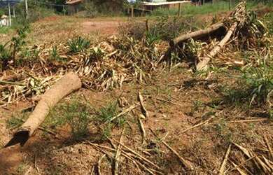 Imagem: O terreno está localizado em Vila Queiroz, Artur Nogueira à