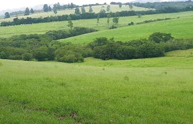 Imagem 5: fazenda em 3 corações 987 hectares 53.000.000.00 edi-pv