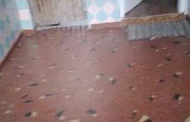 Imagem: A casa possui 3 Dormitórios, 1 Banheiro, 2 Vagas na garagem