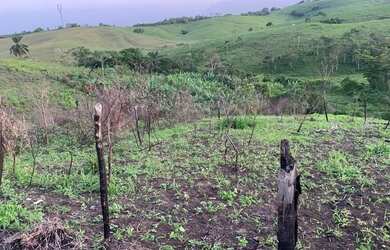 Imagem 5: Terreno 7x35. 