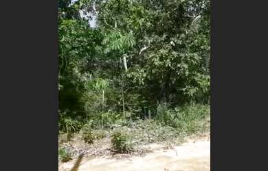 Imagem 6: Vendo lote no rio Araguaia