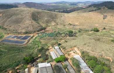 Imagem 3: 2512 Fazenda De 160 Ha Com Grande Suinocultura Em Atividade Região De Ponte Nova Mg