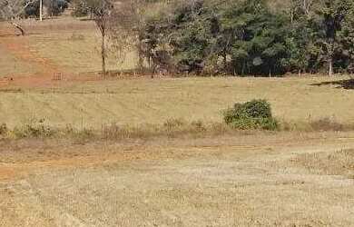 Imagem 2: Excelente fazenda dupla aptidão com 517 hectares e ótimas estruturas...