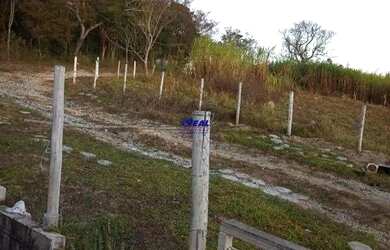 Imagem 4: Sitio à venda, 3 quartos, 1 suíte, 10 vagas, campos fernandes - Bonfim/MG