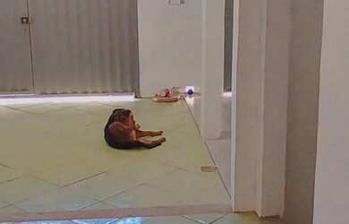 Imagem: A casa possui 1 Dormitório, 1 Banheiro, 1 Vaga na garagem