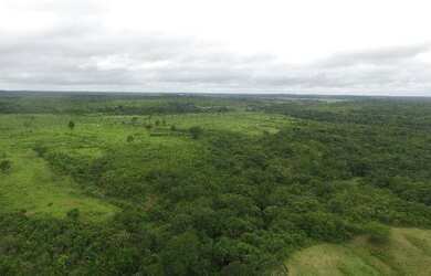 Imagem 8: Fazenda de 280 hectares no Pará R$ 2,7 milhões reais,200 hectares de pasto
