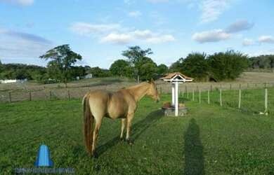 Imagem 10: Sítio para Venda em Sao Vicente Araruama-RJ