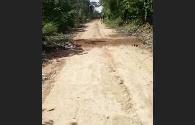 Imagem 5: Vendo lote no rio Araguaia