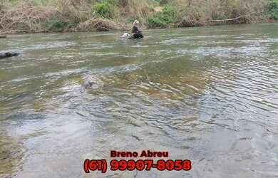 Imagem 4: Chácaras Próximo ao Rio Alagado, Rio Verde