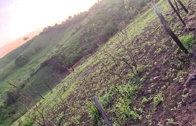 Imagem 3: Terreno 7x35. 