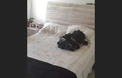 Imagem 12: Casa 2quartos. 57m² de Área, 2 Vagas na garageme2 Dormitórios