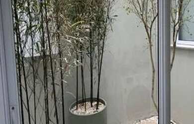 Imagem 15: Maravilhosa Casa em Condomínio residencial para Locação Alto da Boa...