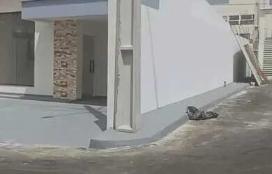 Imagem: A casa possui 3 Dormitórios, 2 Banheiros, 2 Vagas na garagem