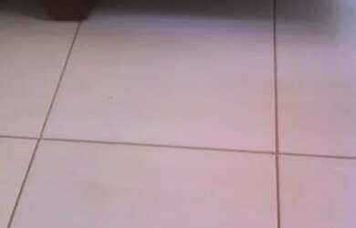 Imagem 14: Apartamento à venda, 83 m² por R$ 265.000,00 - Jardim Palma Travassos - Ribeirão Preto/SP