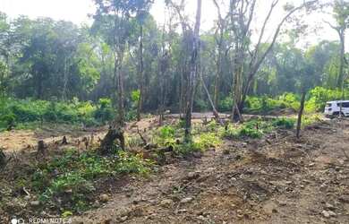 Imagem 12: Lote/Terreno para venda tem 1000 metros quadrados em Jardim Rincão - Arujá - SP