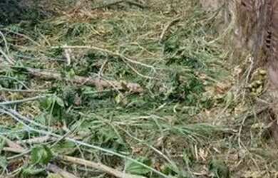 Imagem 6: Lote Jardim vila boa próx ao jardins leia descrição