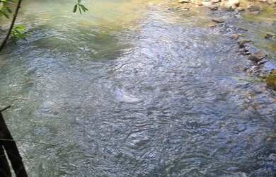 Imagem 2: Sitio 22 hectares valor 195.000