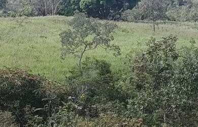 Imagem: A fazenda possui 1.730.000m² de Área e está localizado em