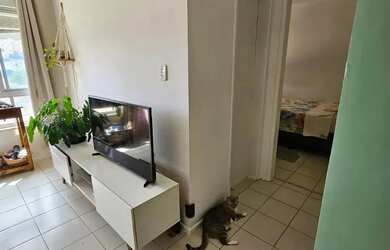 Imagem 8: Imbuí Perto de Td, Nascente, Infra, R$ 249.999