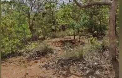 Imagem 4: FAZENDA - 1.500 HECTARES. 15.000.000m² de Área