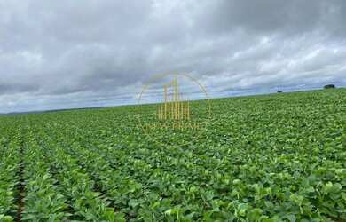 Imagem 13: Fazenda à Venda Unaí/MG 472 ha