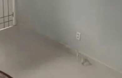 Imagem: BA13- Casa disponível na Federação!