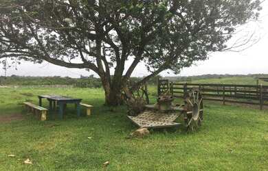 Imagem 4: Fazenda de 280 hectares no Pará R$ 2,7 milhões reais,200 hectares de pasto