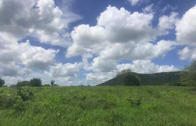 Imagem 11: Vendo fazenda Fazenda / sítio com venda por R$3.200.000