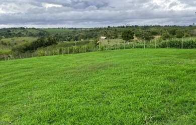 Imagem: A fazenda possui 2000m² de Área e está localizado em São