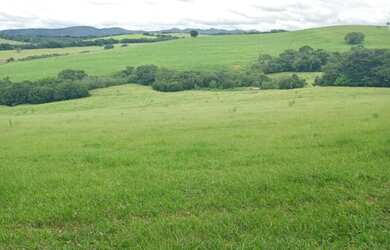 Imagem 8: fazenda em 3 corações 987 hectares 53.000.000.00 edi-pv